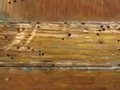 Cómo detectar la carcoma en la madera