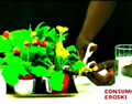 Combatir plagas en plantas de interior.