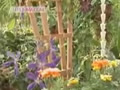 Jardinera con plantas trepadoras